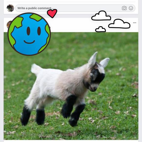 Meet your Posher, Ali - Picture 1 of 1